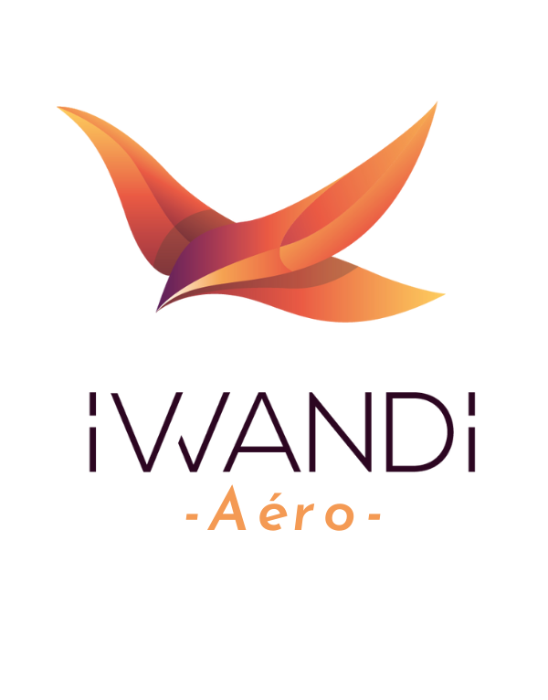 Logo aero orange